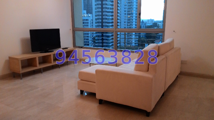 Amaryllis Ville (D11), Condominium #49465412